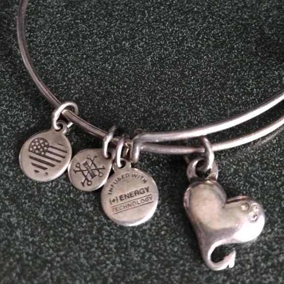 Alex and Ani Expandable Wire Bracelet Heart Charm - Picture 9 of 12